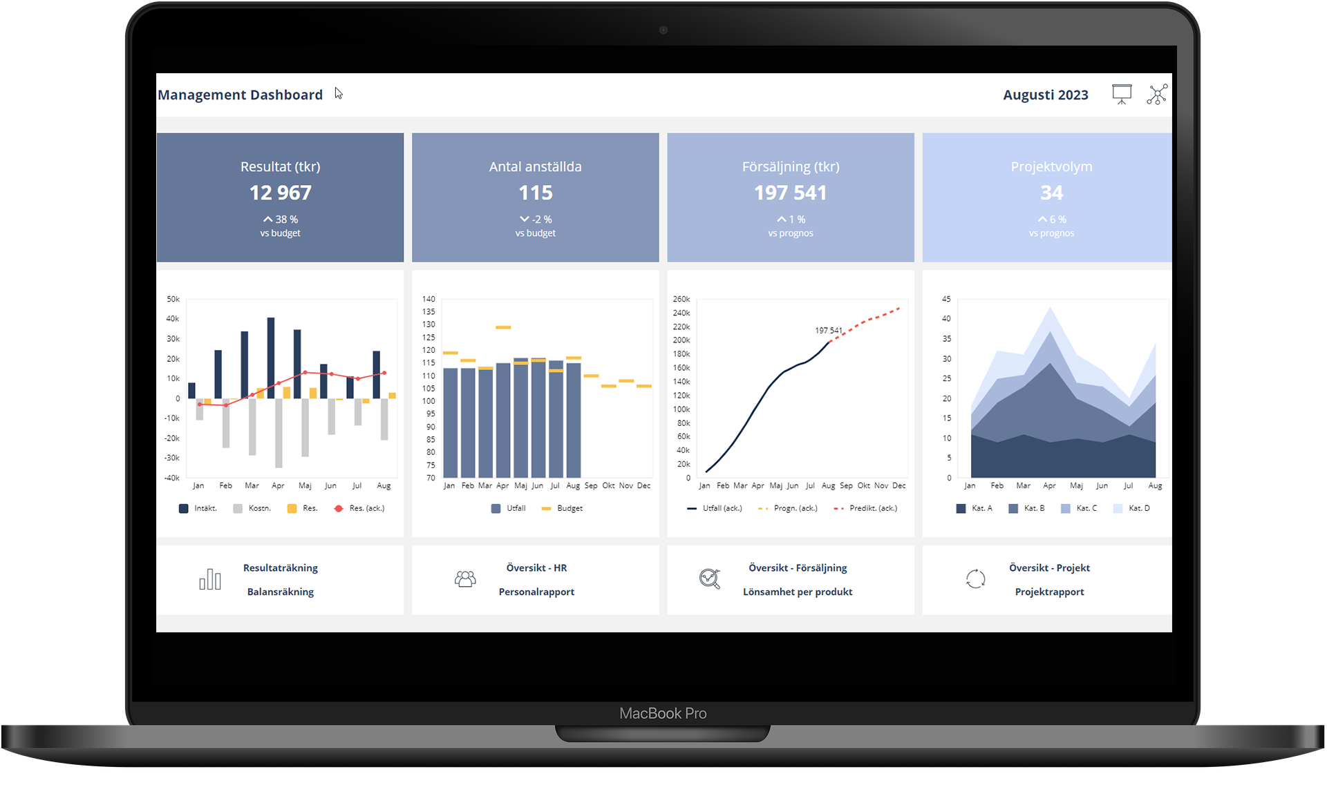 Mercur Business Control dashboard